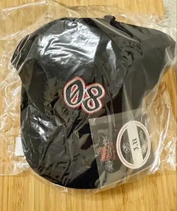 Stray Kids 월드 투어 dominATE 캡 아이엔 I.N