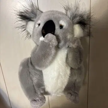 코알라 봉제 인형 약 30cm