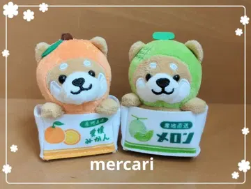 여행하는 마메시바 산지 직송 멜론 & 에히메 귤