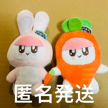 SEVENTEEN 인형옷 봉봉이 토끼 당근 마스코트 세븐틴