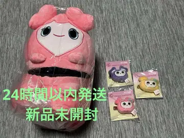 TWICE 모모 슬리퍼 모블리 GIGO 헤어 클립 사나 지효 모모