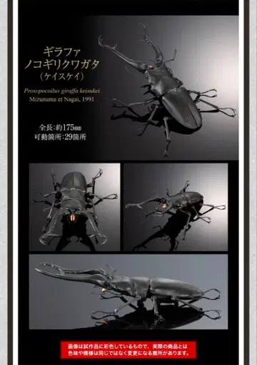 생물대도감 기라파 사슴벌레 (케이스케이)