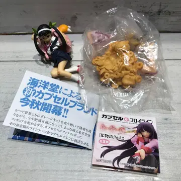 바케모노가타리 2종 세트 하치쿠지 마요이 오시노 시노부