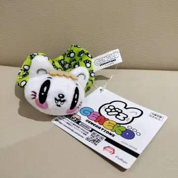 제이캣 스크런치 사노 레오