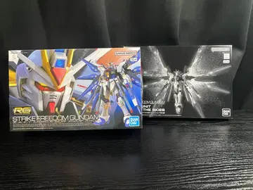 RG 스트라이크 프리덤 건담 & 천공의 날개 세트