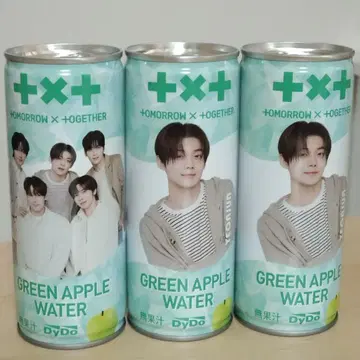 TXT 영준 그린애플 워터 250ml 2개 세트