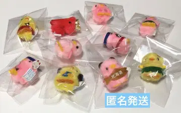 삐요리나 10마리 세트 묶음 판매 즉시 구매