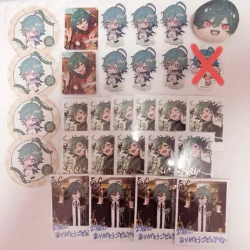 앙스타 라이카 타카죠 라이카 묶음 판매