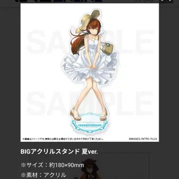 STEINS;GATE 진심 복권 아크릴 스탠드 특전 마키세 크리스 여름