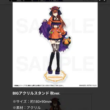 STEINS;GATE 진심 복권 아크릴 스탠드 특전 마키세 크리스 가을