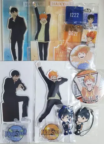 하이큐 히나타 카게야마 세트