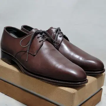 에디피스 플레인토