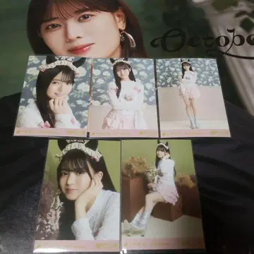 세토구치 신츠키 Halloween 2025 노기자카46 브로마이드