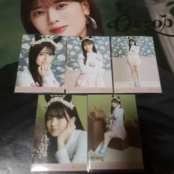 세토구치 신게츠 Halloween 2025 노기자카46 브로마이드