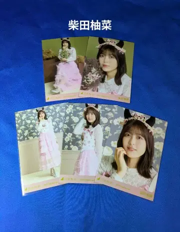 노기자카46 시바타 유나 할로윈 2025 5종 컴프