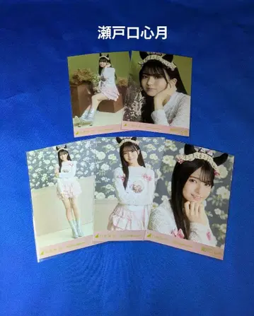 노기자카46 세토구치 신츠키 할로윈 2025 5종 컴프