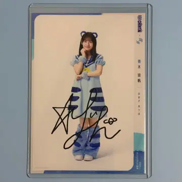 아오키 슈호 친필 사인