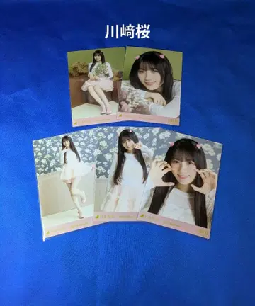 노기자카46 카와사키 사쿠라 할로윈 2025 5종 컴프