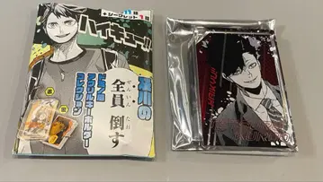 하이큐 오이카와의 전원 격파 도미노풍 아크릴 키링 컬렉션 쿠로오