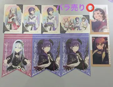 프로세카 니고 9세트 묶음 판매