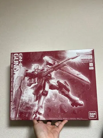 MG 1/100 건담 듀나메스 (트랜잠 모드) 글로스 인젝션