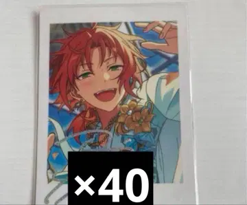 앙스타 츠키나가 레오 파샤츠 40장 세트