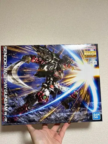 MG 1/100 전국 아스 건담