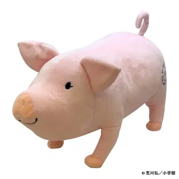 [레어] 은수저 전시회 돼지고기 덮밥 봉제 인형 택 포함 새상품