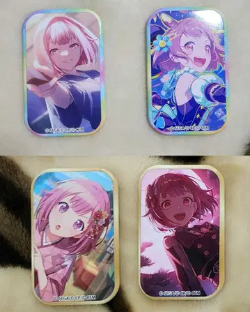 프로세카 에무 스퀘어 배지 46C 48B