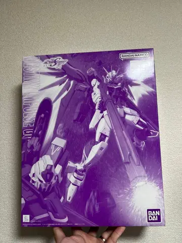 MG 1/100 데스티니 임펄스 건담 R (리제네스)