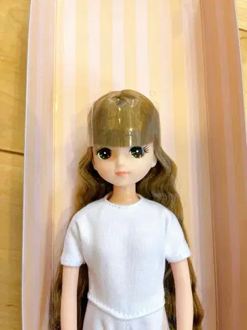 2020년 고베 산노미야 BASIC 모델 키라짱 V3