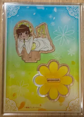 명당원 이츠키 아크릴 스탠드 마루이 큐어 선샤인