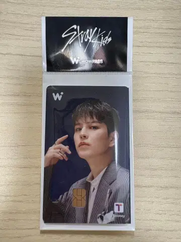 Stray Kids WOWPASS 승민