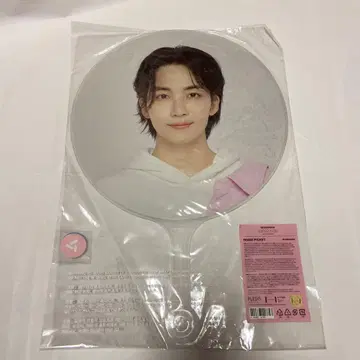 SEVENTEEN 정한 부채 carat land