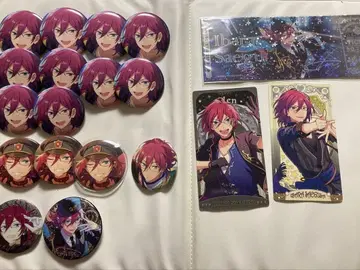 사에구사 이바라 묶음 판매