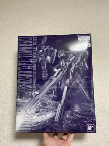 MG 1/100 제스타 (셰자르대 사양 B&C반 장비)