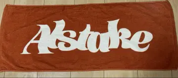 알스테이크 타월