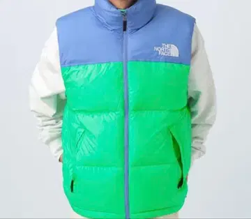 THE NORTH FACE 다운 베스트 파랑/그린