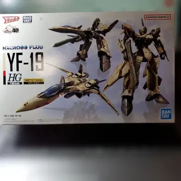 마크로스 플러스 HG 1/100 YF-19 프라모델,