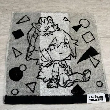 E136 포켓몬 트레이너즈 핸드 타월 N&조로아