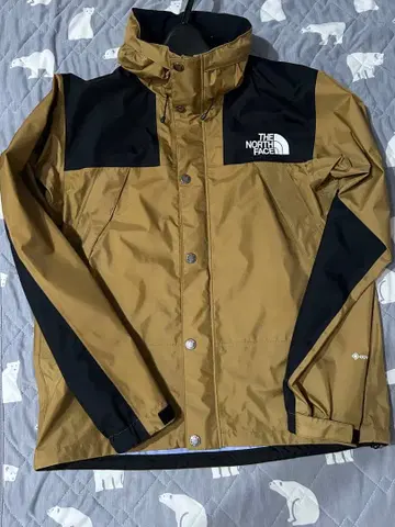 THE NORTH FACE GORE-TEX 레인 테크 자켓
