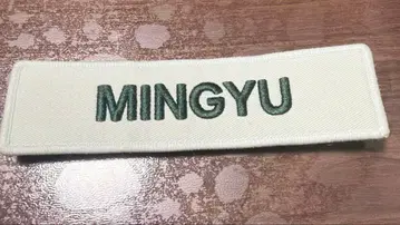 민규 와펜 핑 세븐틴 seventeen