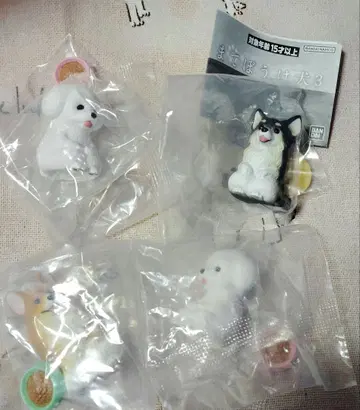 기다려 멍멍이 3