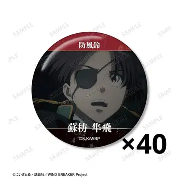 WIND BREAKER 윈브레 소바 슌토 KEEL편 장면 사진 캔뱃지