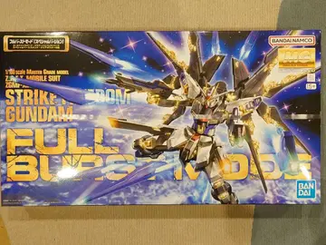 건담 프라모델 MG 1/100 스트라이크 프리덤 건담 풀 버스트 모드