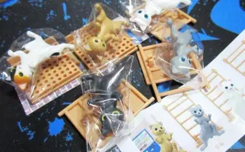 그림자 속에서 살짝 엿보는 듯한 고양이들 삼색 고양이는 보았다 전 5종