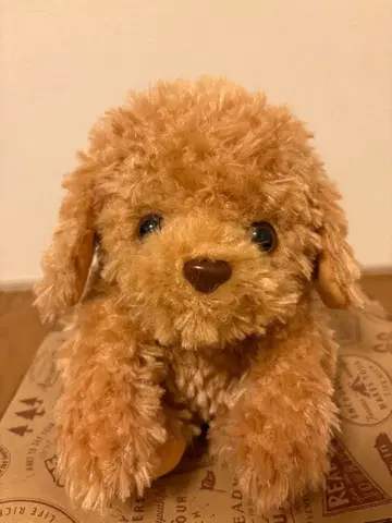 말하는 토이 푸들 봉제 인형