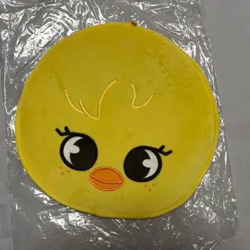 StrayKids 부채 케이스