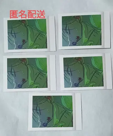 에이리언 스테이지 파샤코레 티르 5장 세트