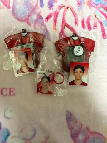 배구 남자 일본 대표 가챠가챠